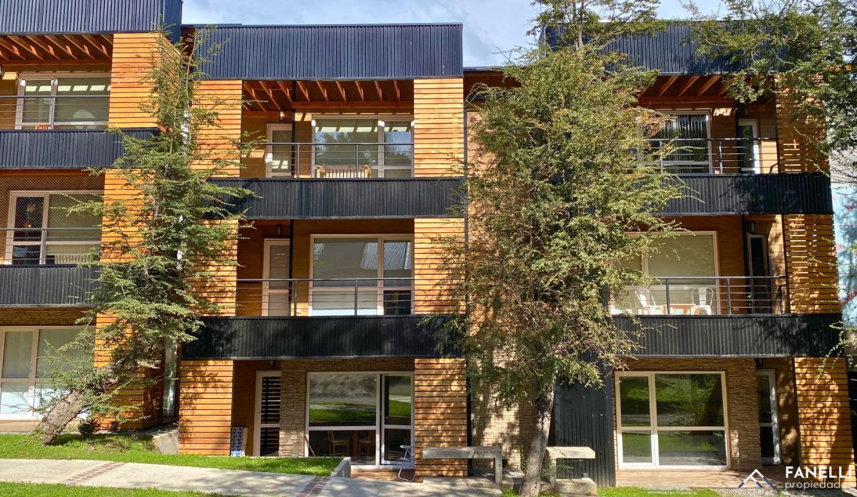 Diseño sin título (32)