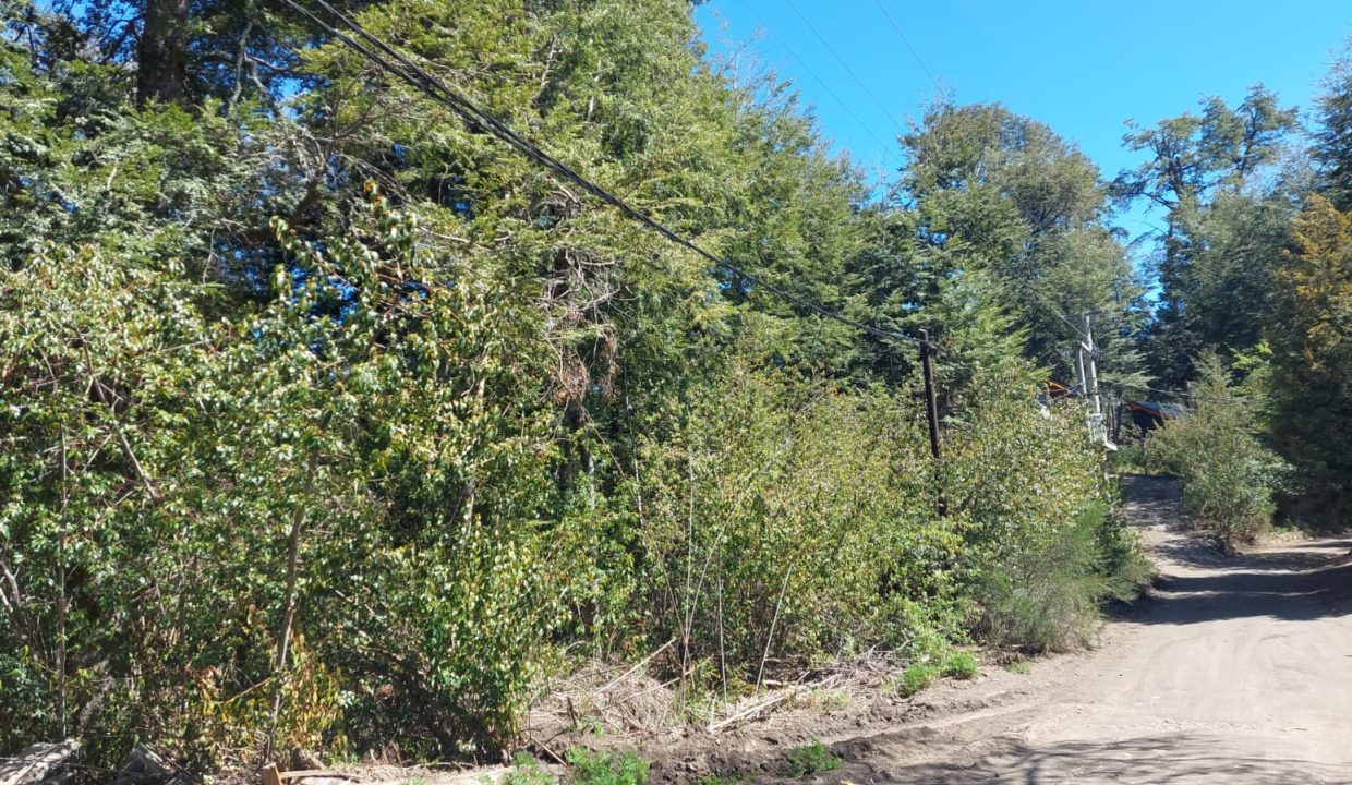 WhatsApp Image 2024-10-22 at 12.02.14