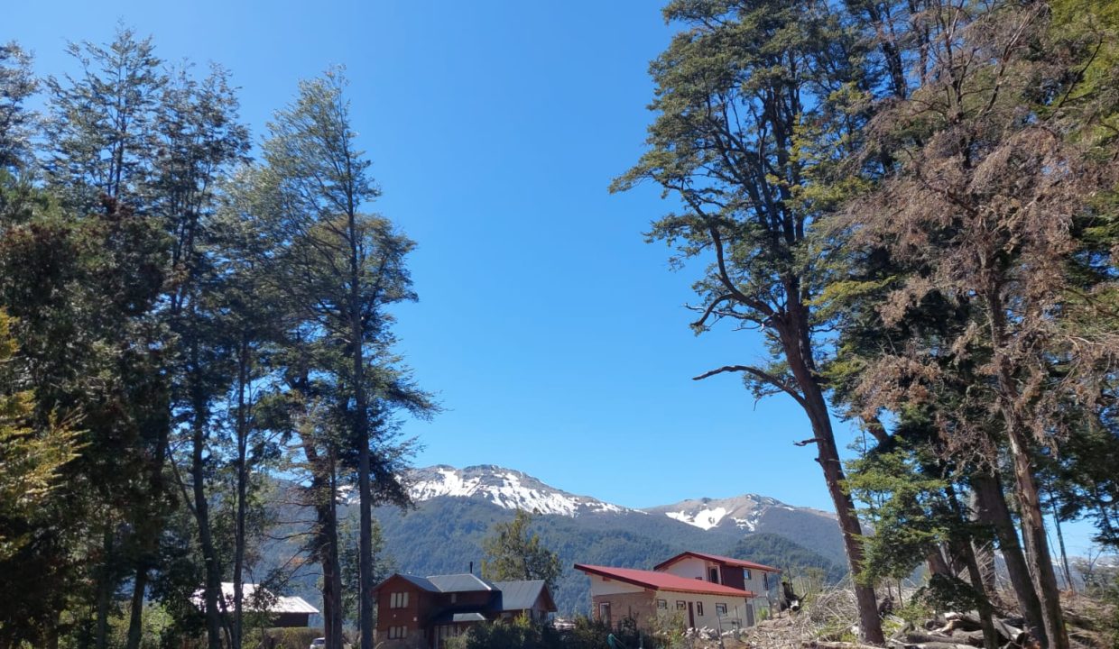 WhatsApp Image 2024-10-22 at 12.16.50