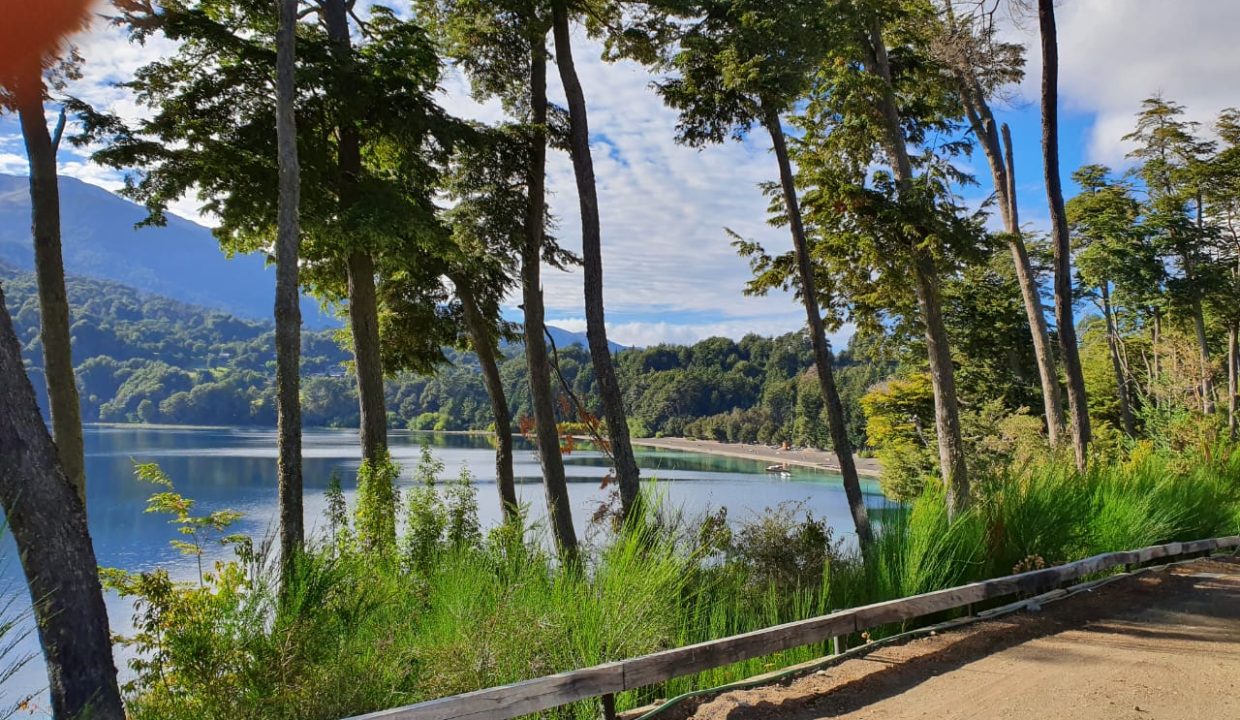 WhatsApp Image 2025-03-15 at 11.36.54