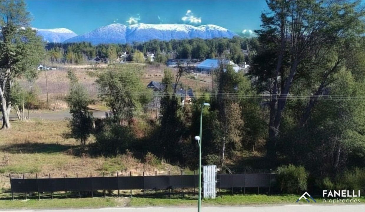 WhatsApp Image 2026-04-18 at 11.53.39 (2)