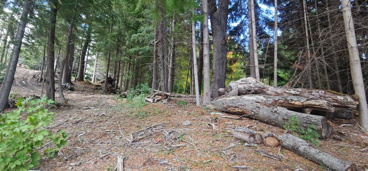 WhatsApp Image 2026-04-22 at 09.48.42 (1)