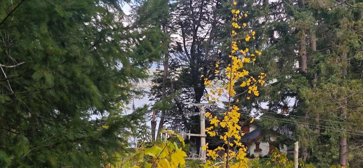 WhatsApp Image 2026-04-22 at 09.48.42