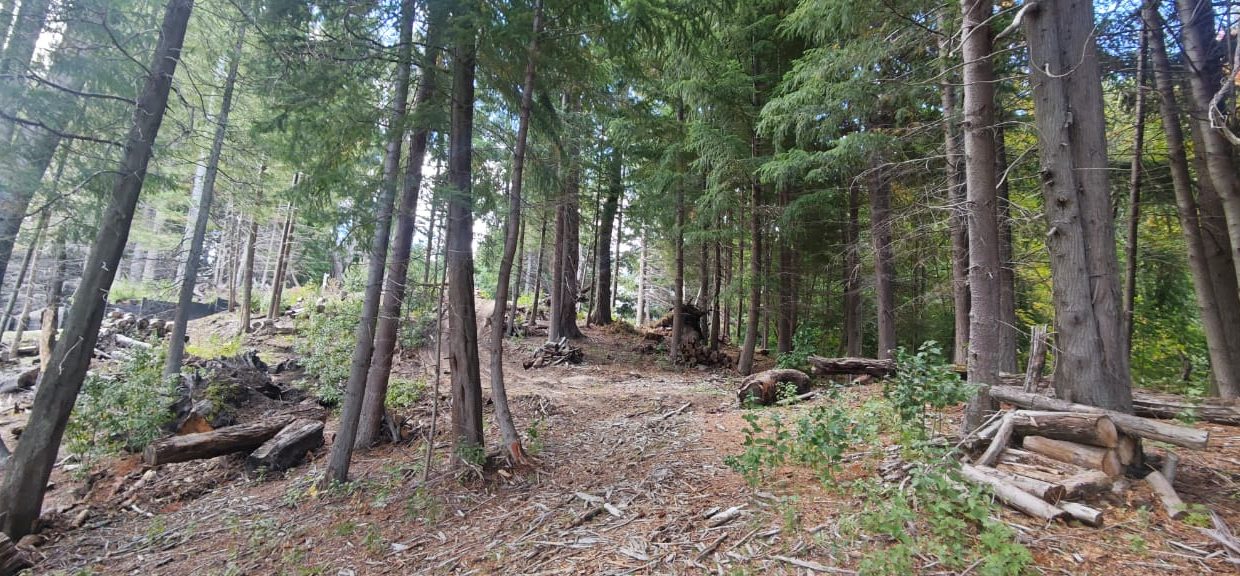 WhatsApp Image 2026-04-22 at 09.48.42 (2)