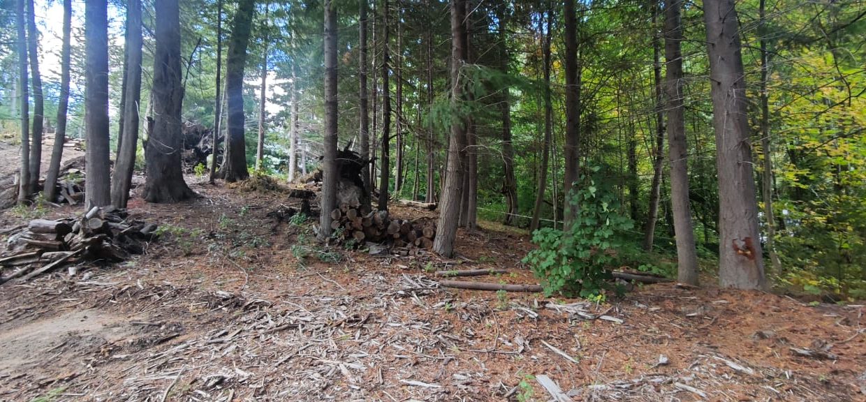 WhatsApp Image 2026-04-22 at 09.48.43